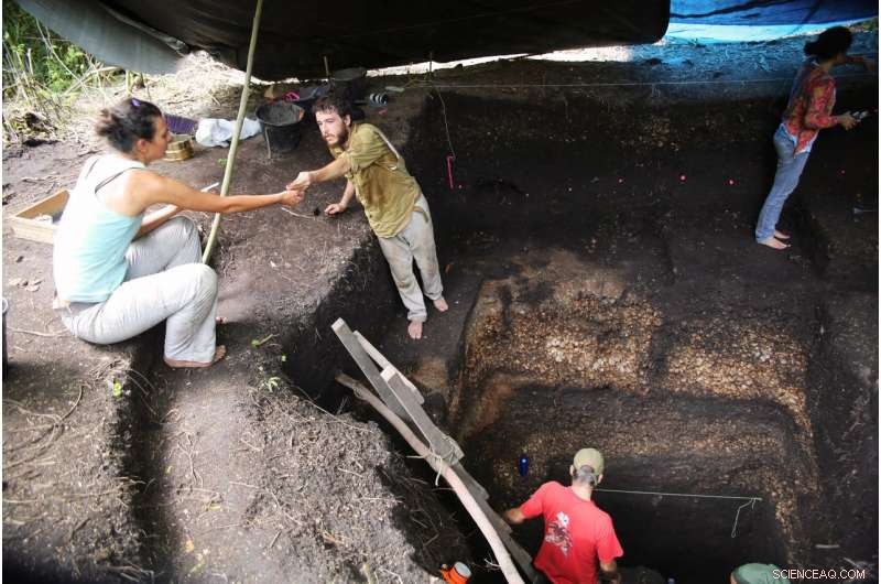 Amazonian Farmers Mastered Wild Rice Domestication 4,000 Years Ago