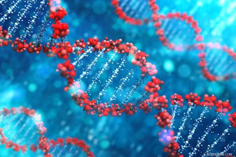 Computer Program Identifies Distinct Human Cell Types Using AI