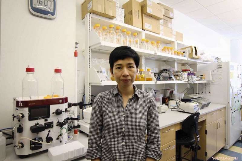 Bacteria Harness Ribosome Hibernation to Thrive Under Stress