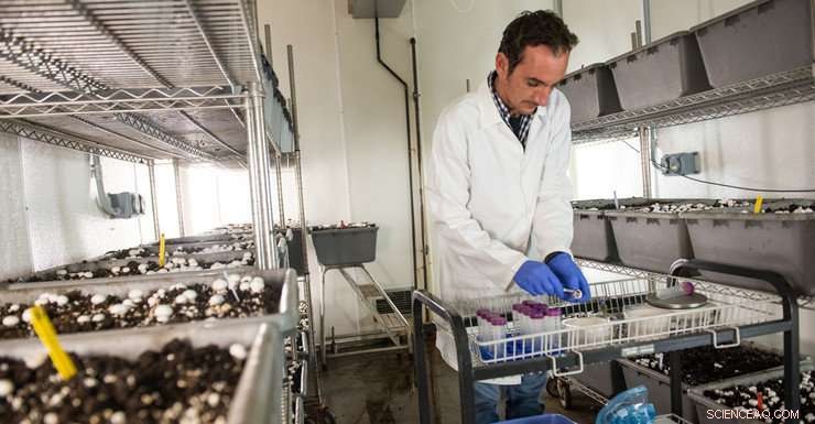 Revealing the Hidden Microbial World: New High‑Throughput Sequencing Uncovers Interactions