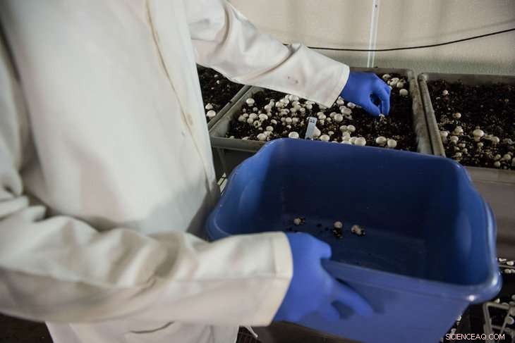 Revealing the Hidden Microbial World: New High‑Throughput Sequencing Uncovers Interactions