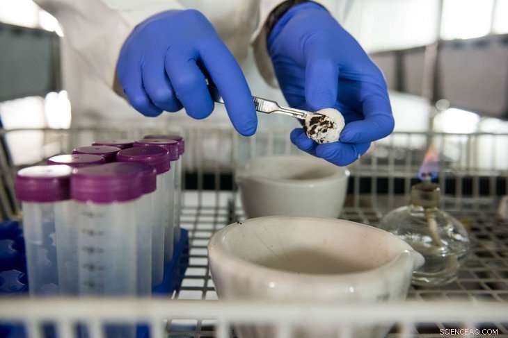 Revealing the Hidden Microbial World: New High‑Throughput Sequencing Uncovers Interactions