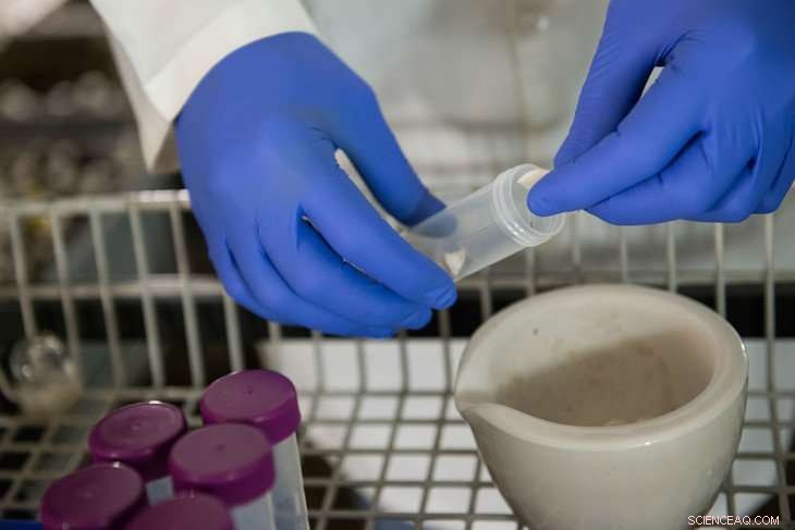 Revealing the Hidden Microbial World: New High‑Throughput Sequencing Uncovers Interactions