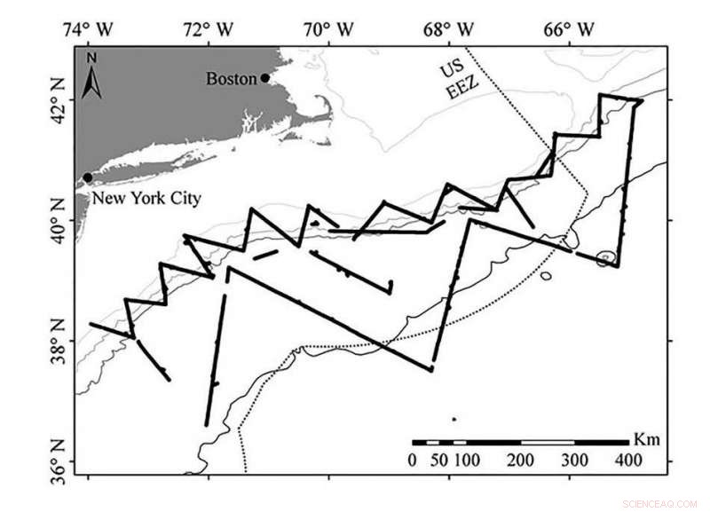 New Study Reveals How Deep Gervais  and True s Beaked Whales Dive