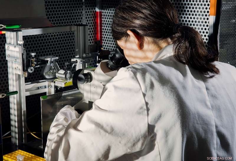 Decoding the Stop‑and‑Go Mechanism of Potassium Channels