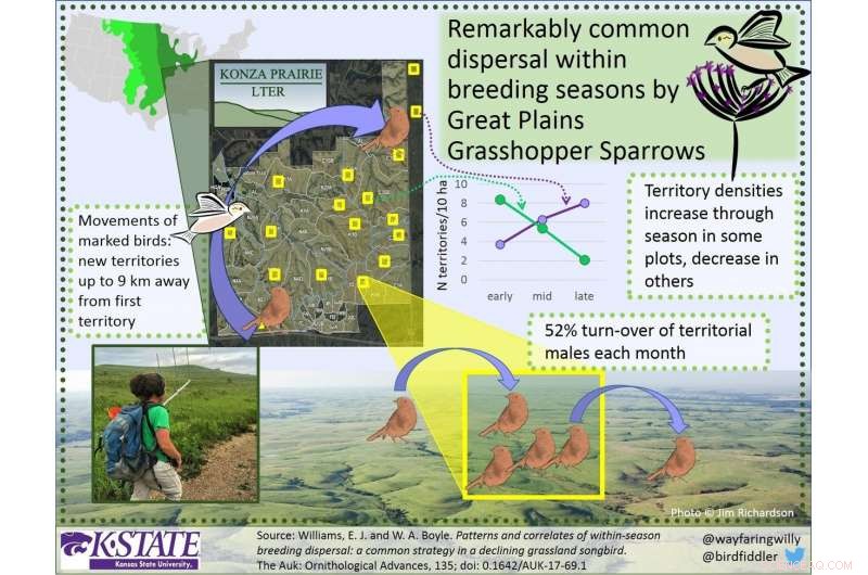 Grassland Sparrows Seek Better Homes: How Habitat Quality Drives Their Annual Moves