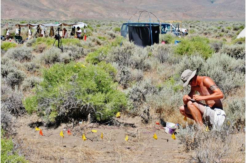 The Evolution of Sticky Toe Pads in Lizards
