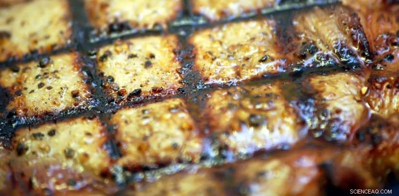 Opinion: Lab‑Grown Steak—Why the Meat Debate Can’t Be Solved by Silicon Valley