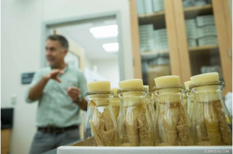 New Study Finds Fathers’ Pre-Conception Nutrition Influences Baby’s Health