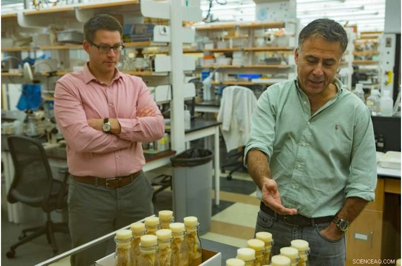 New Study Finds Fathers’ Pre-Conception Nutrition Influences Baby’s Health