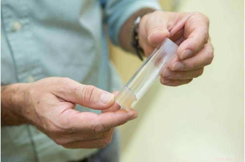 New Study Finds Fathers’ Pre-Conception Nutrition Influences Baby’s Health