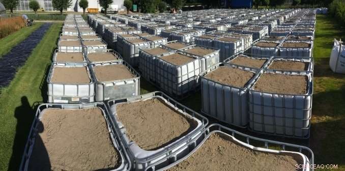 Dutch Scientists Design Next-Generation Ecosystem for Climate Resilience