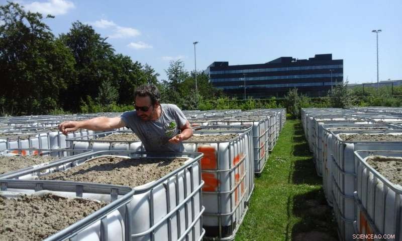 Dutch Scientists Design Next-Generation Ecosystem for Climate Resilience