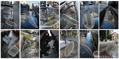Urban Gutters: A Hidden World of Microbial Life