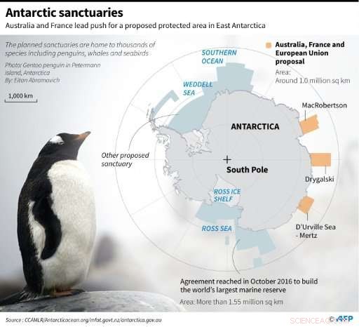 Australia & France Lead Push to Protect East Antarctica with a New Marine Sanctuary