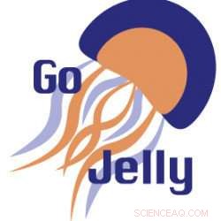 Harnessing Jellyfish Blooms to Create Innovative Products