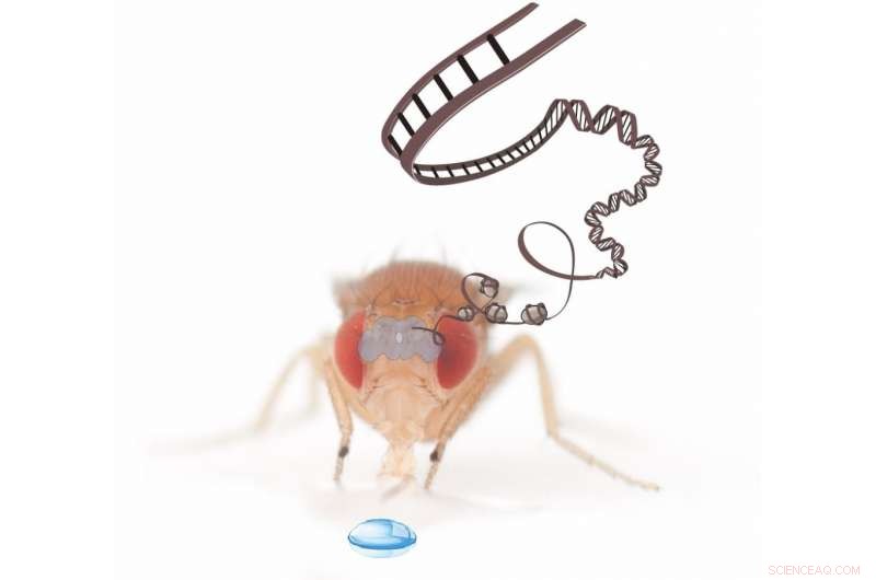 Unlocking Behavior Change Through Epigenetics: The Science Behind DNA-Driven Transformations