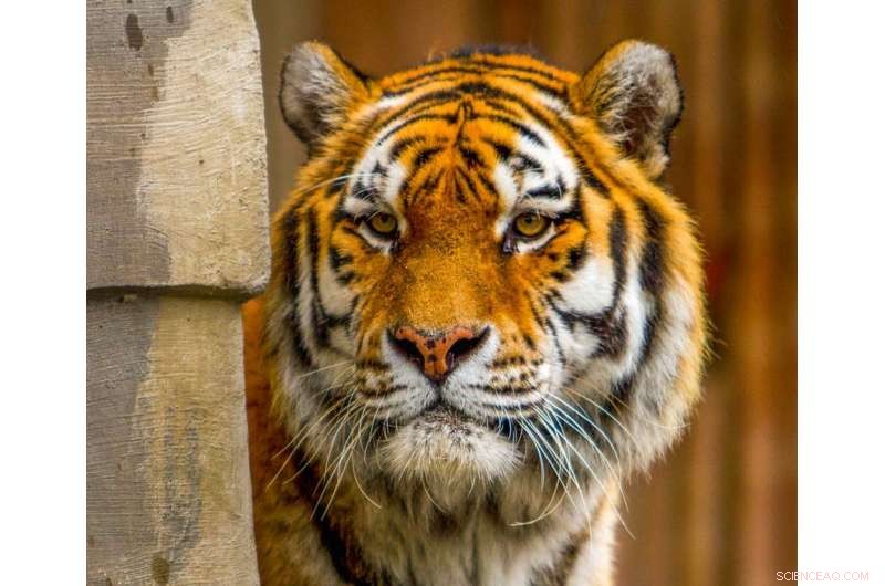 Science-Backed Guide to Proper Zoo Etiquette