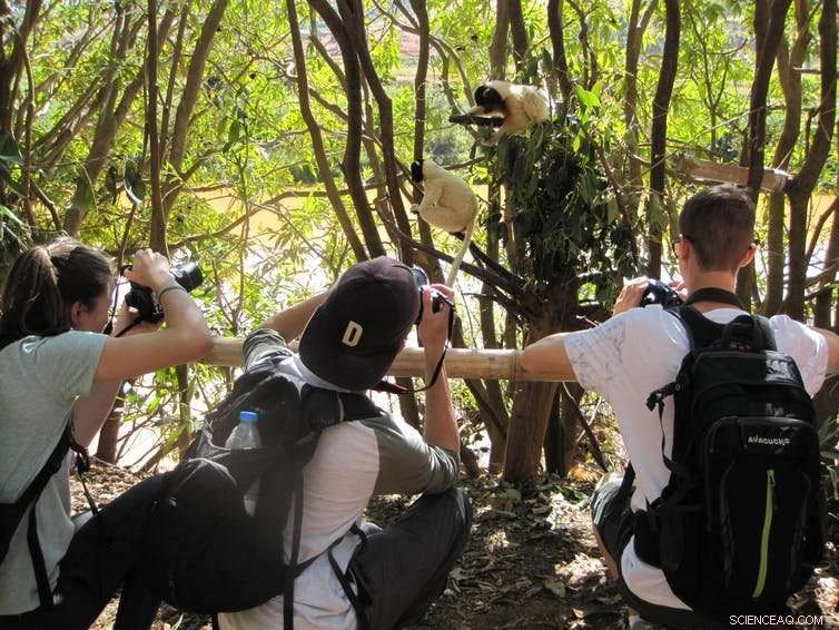 Science-Backed Guide to Proper Zoo Etiquette