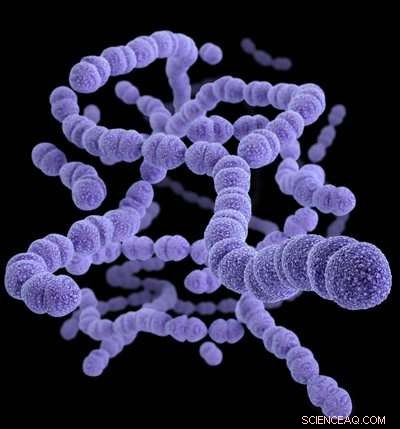Genomics Uncovers How Bacterial Competition Shapes Vaccine Effectiveness Against Streptococcus pneumoniae