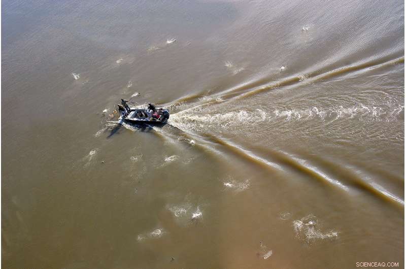 Illinois Sportfish Populations Rebound Thanks to 1972 Clean Water Act, Scientists Report