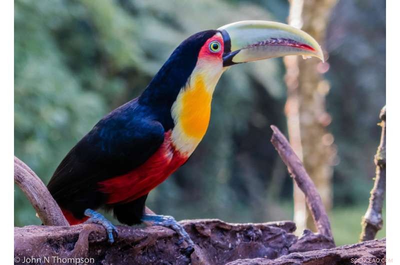 Exploring Life’s Coevolutionary Network: How Species Interact and Adapt