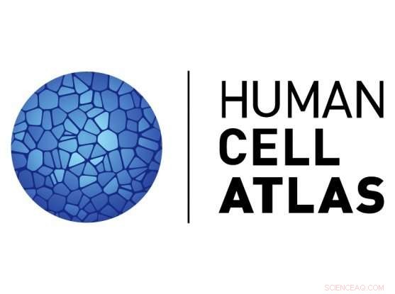 Human Cell Atlas Unveils Strategic Blueprint and Releases First 1 Million Cell Dataset