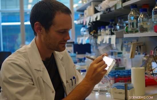 Researchers Unveil New High-Resolution Structure of Pseudomonas aeruginosa Superbug