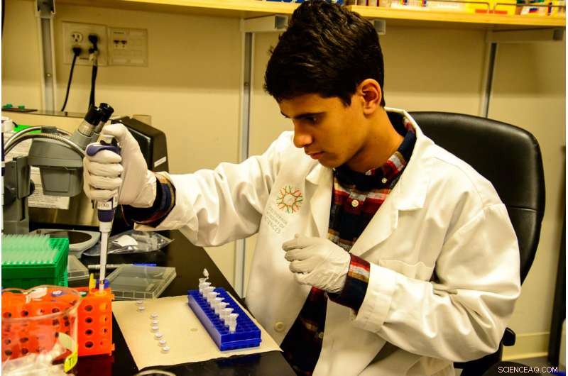 New Butterflyfish Species Unveiled from Philippine Twilight Zone