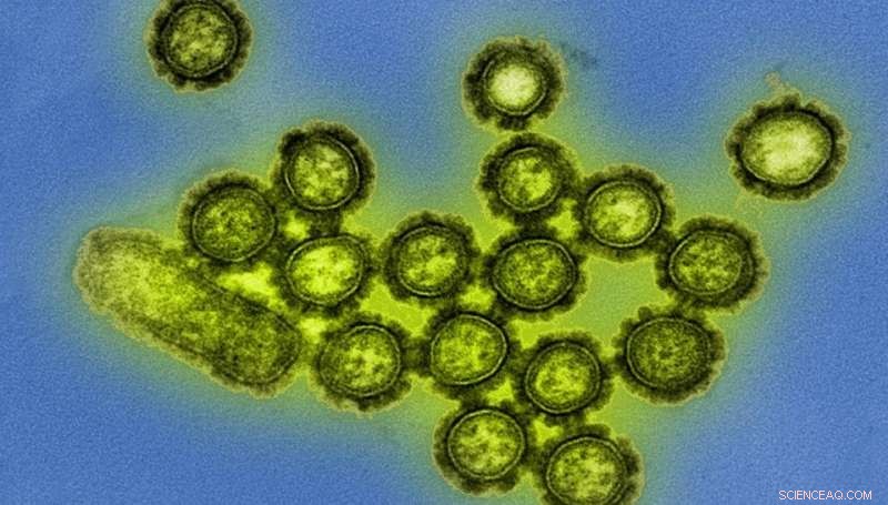 Unveiling the Social Dynamics of Viruses: New Insights into Viral Behavior