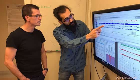 Scientists Discover Novel Function in Gene-Regulatory Protein