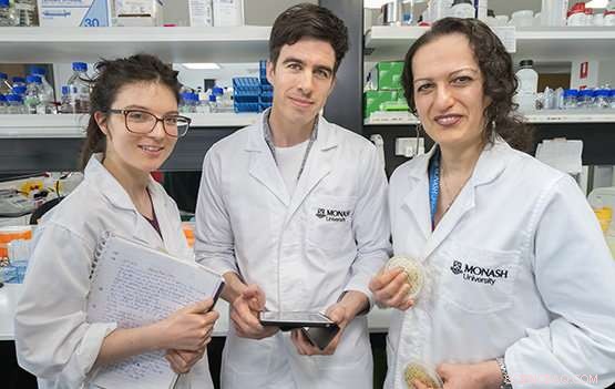 Groundbreaking Discovery Questions Long-Standing Evolutionary Theory