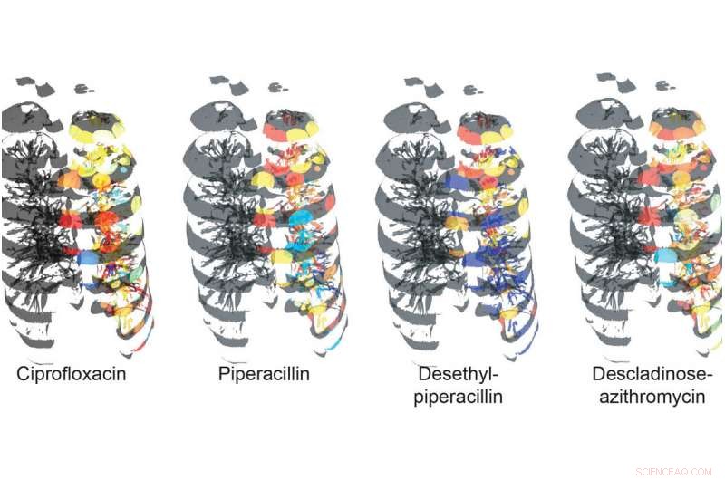 Revolutionary 3‑D Visualization Tool Paves the Way for Targeted Drug Delivery in Cystic Fibrosis and Beyond