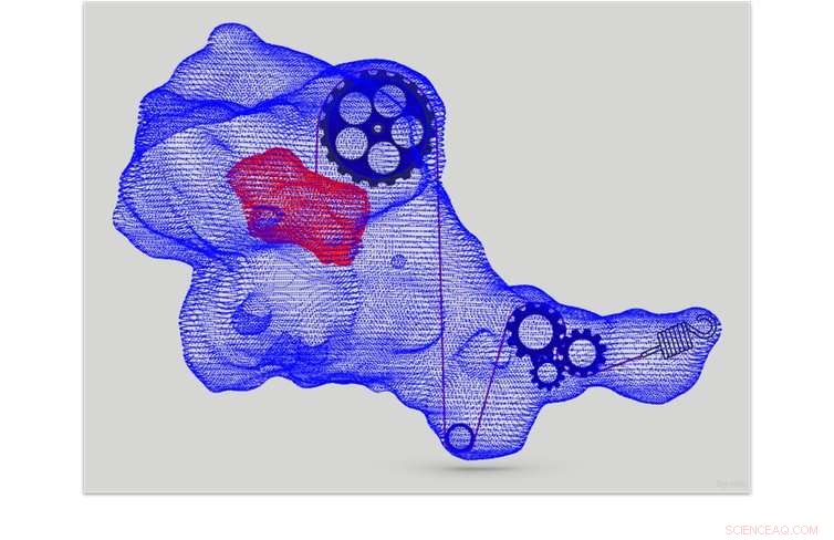 How Cells Harness and Respond to Mechanical Forces: The Science of Mechanobiology