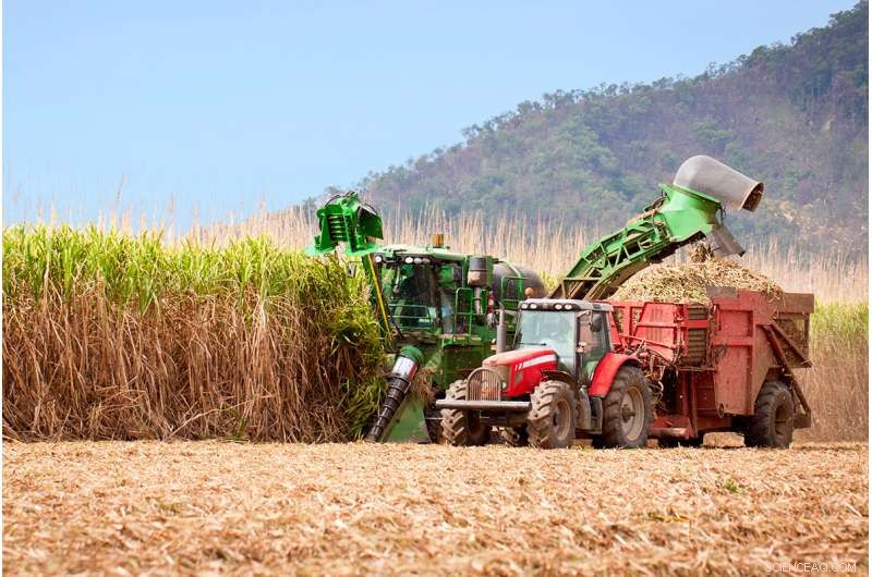 Brazil s Expanding Sugarcane Industry Could Reduce Global CO₂ Emissions
