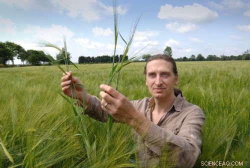 New Study Shows Crops Evolved 10,000 Years Earlier Than Previously Believed