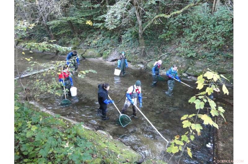 Tracking the Parasite Threatening Freshwater Fish Populations