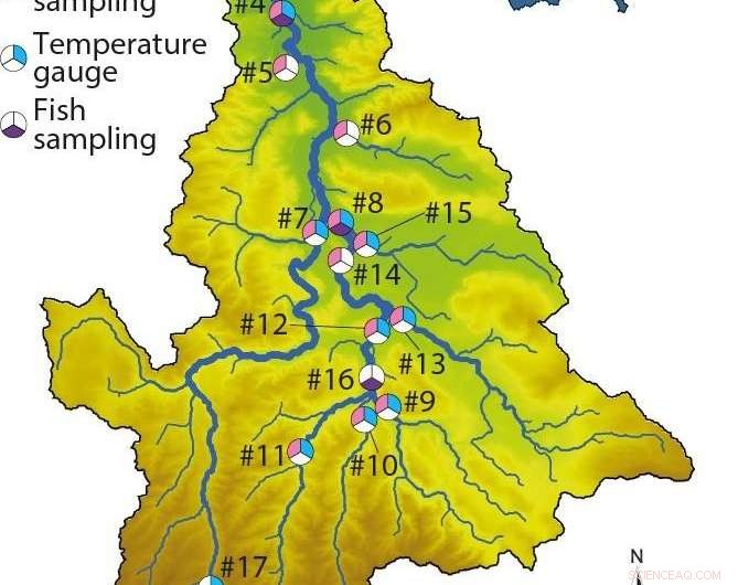 Tracking the Parasite Threatening Freshwater Fish Populations