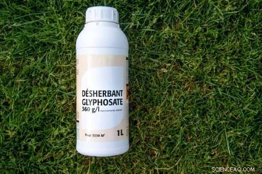 EU Parliament Aims to Ban Glyphosate by 2022, Citing Health Concerns