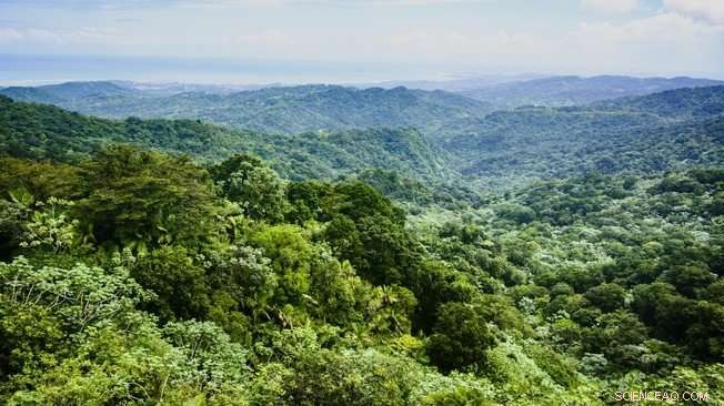 EPFL Breakthrough: Formulating a Gravitational Framework for Ecological Systems