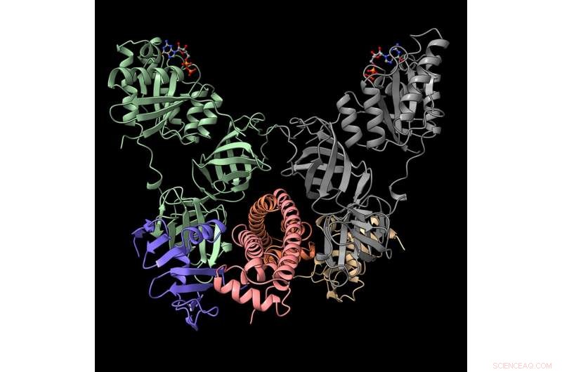 Decoding Bacterial Social Networks: Unveiling Molecular Interactions
