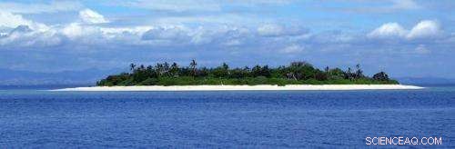 Save 41% of the Planet’s Most Threatened Vertebrates by Focusing Conservation Efforts on Islands