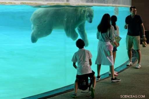 Singapore Zoo Provides Compassionate Care for Aging Animals