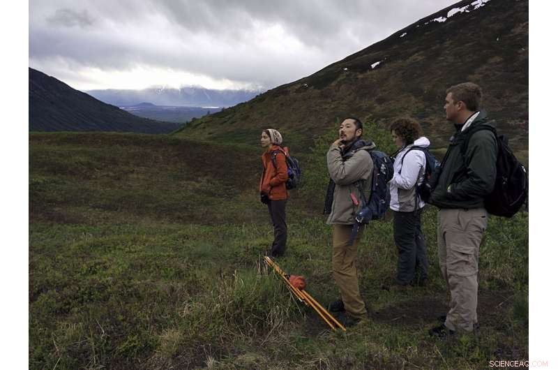 Golden-Crowned Sparrow Chicks Identify Songs from a Single Note