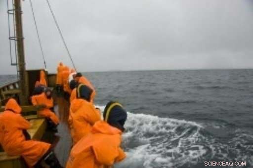 Whales Take Center Stage in Iceland’s Thriving Ecotourism Boom