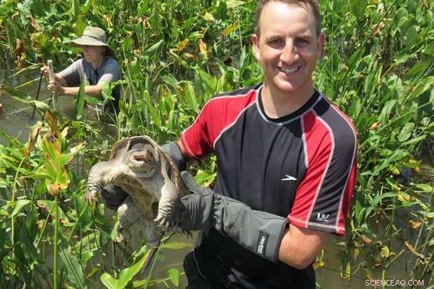 New Study Reveals Commercial Harvesting Threatens Snapping Turtle Populations