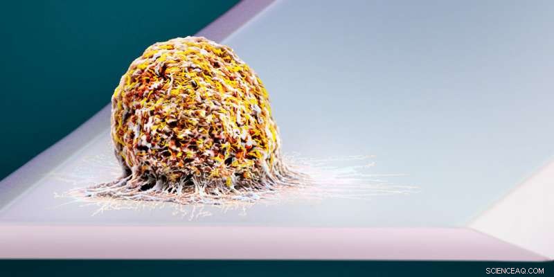 Measuring the Weight of Life: Scientists Quantify a Single Human Cell