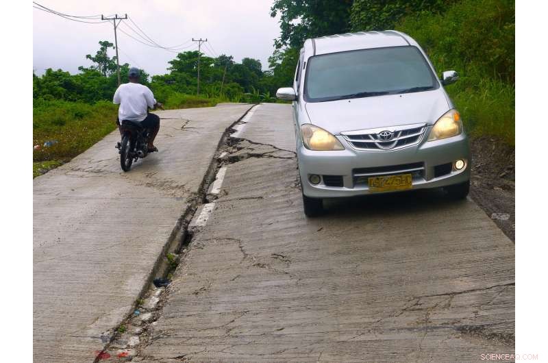 Scientists Warn: Rapid Road Construction Threatens People and Nature
