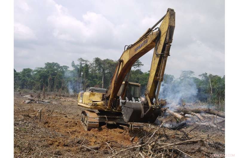 Scientists Warn: Rapid Road Construction Threatens People and Nature