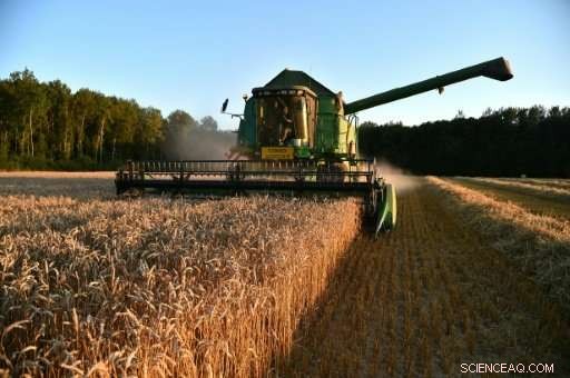 EU Member States to Vote on Five-Year Renewal of Glyphosate Regulation Next Month